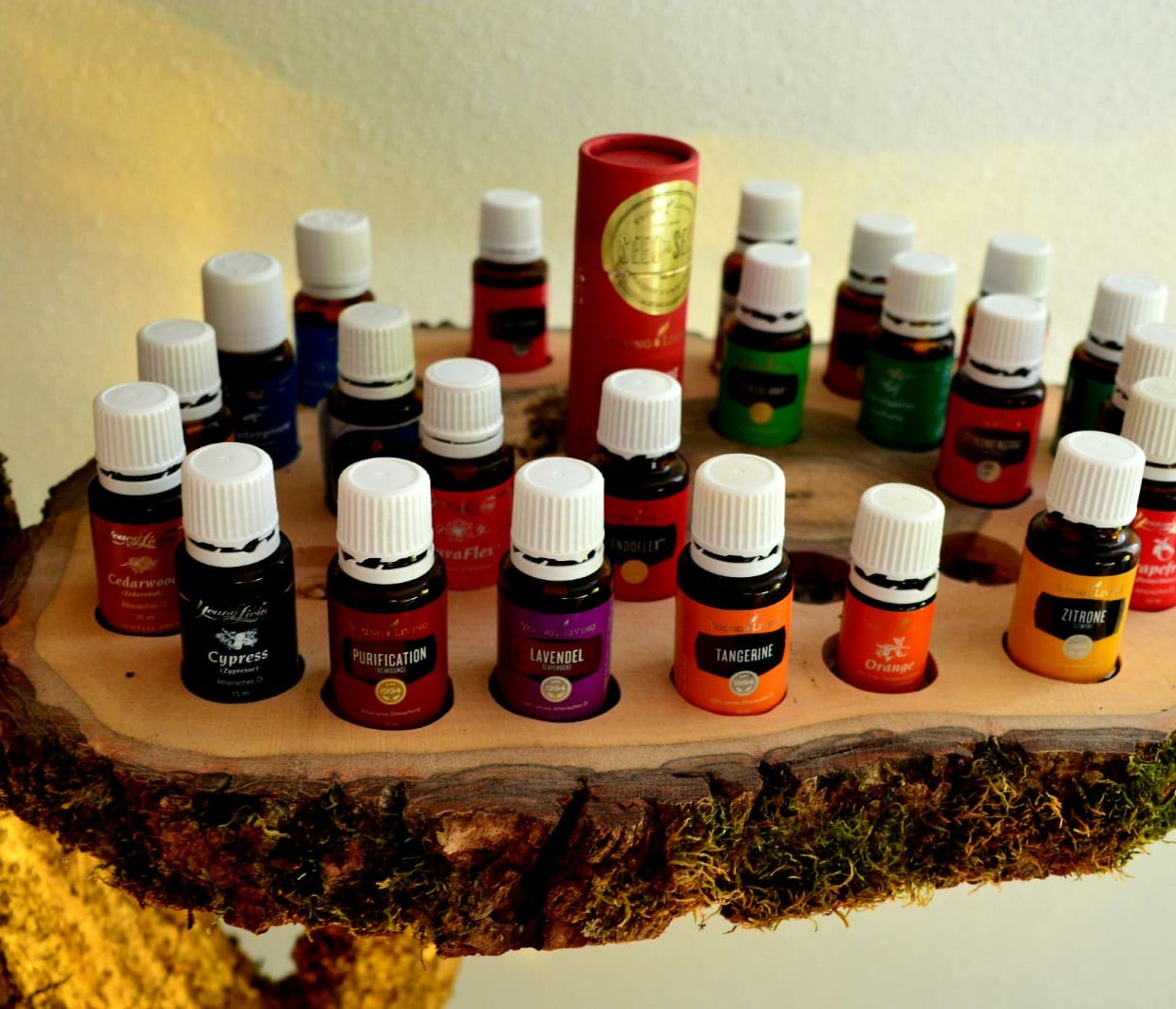 Seminar-Humanenergetik