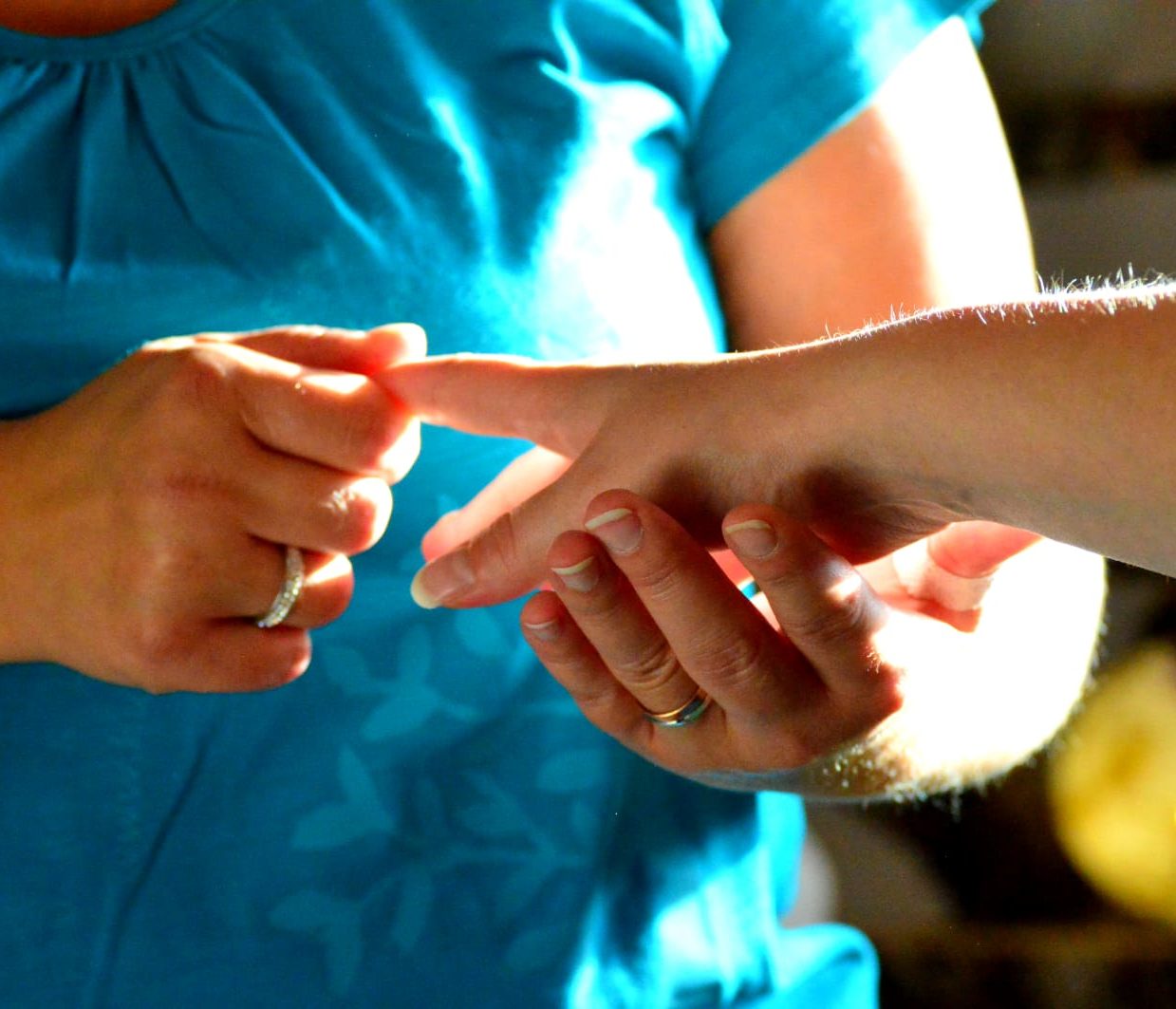 Seminar-Humanenergetik